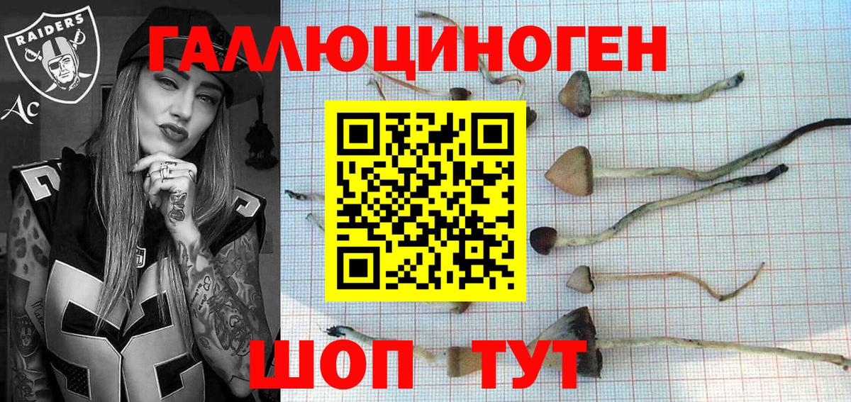Галлюциногенные грибы Magic Shrooms Воронеж