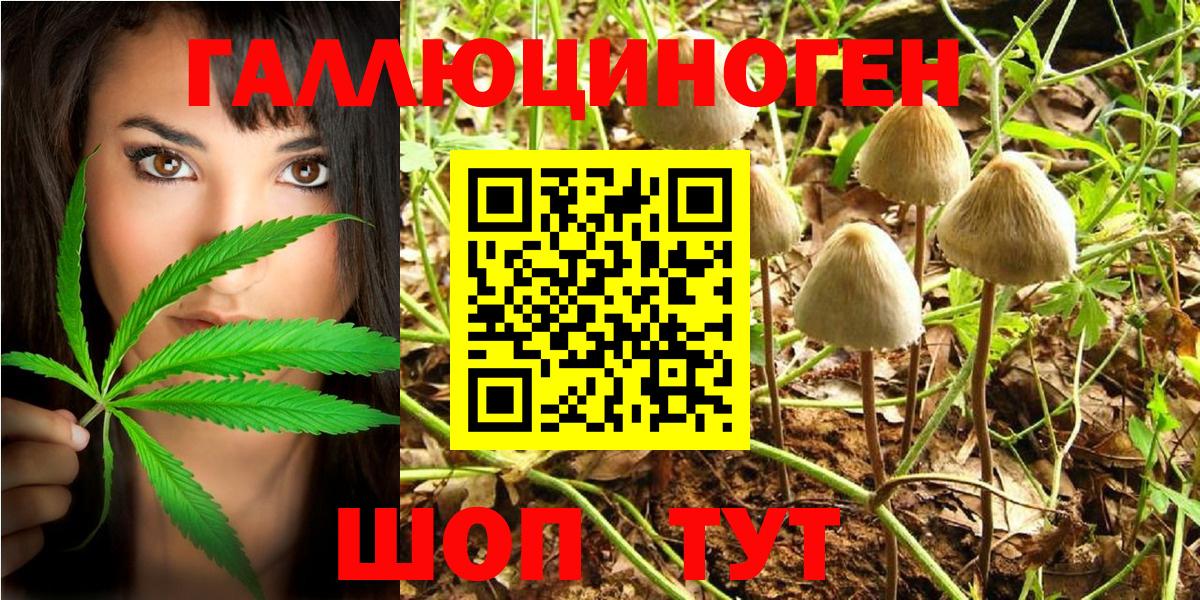 Псилоцибиновые грибы MAGIC MUSHROOMS  Псилоцибиновые грибы Cubensis  Воронеж  Вход с VPN 